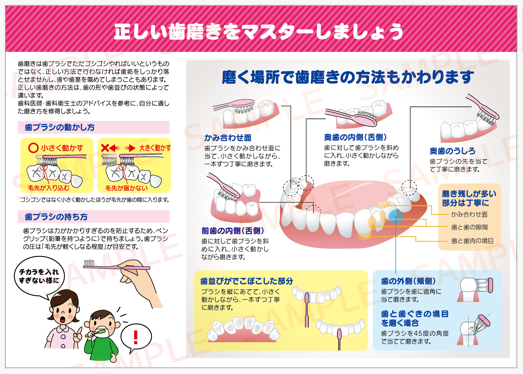 歯 の 磨き 方 歯 周 病